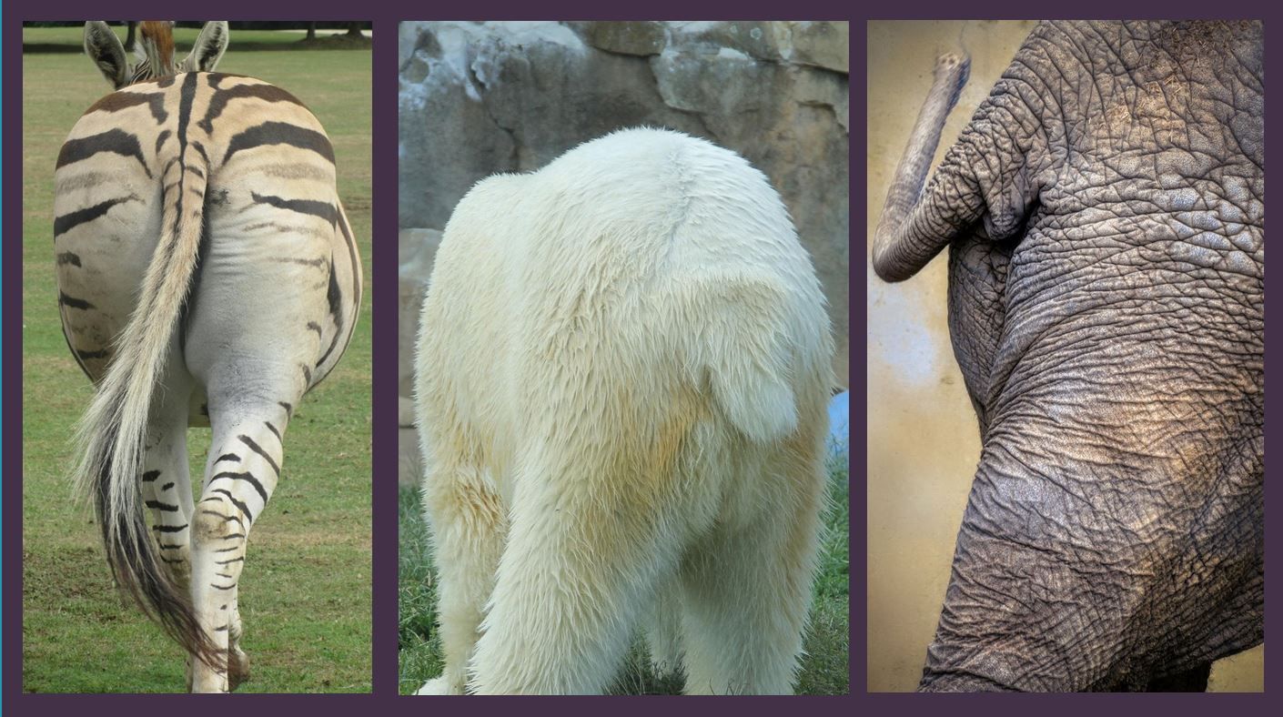 Präsentation - Von hinten betrachtet