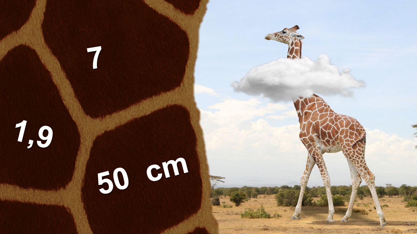 Präsentation - Das Leben als Giraffe