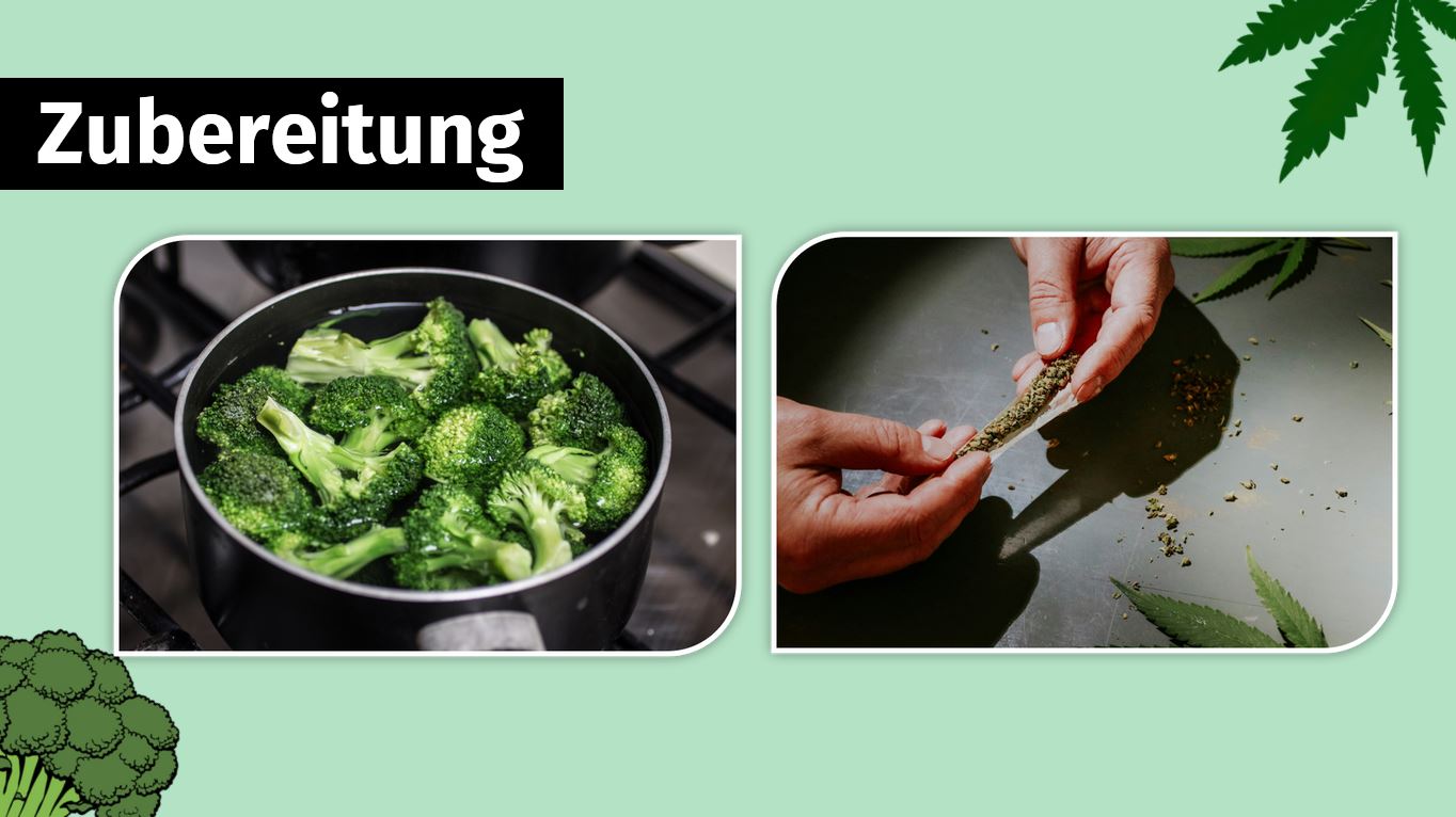 Präsentation - Cannabis vs Brokkoli