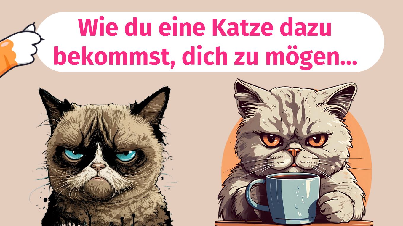 Präsentation - Katzen