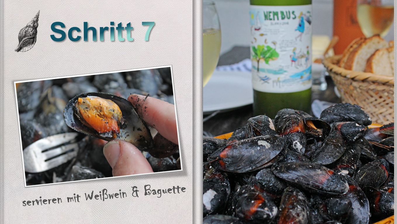 Präsentation - Miesmuscheln auf Kiefernadeln